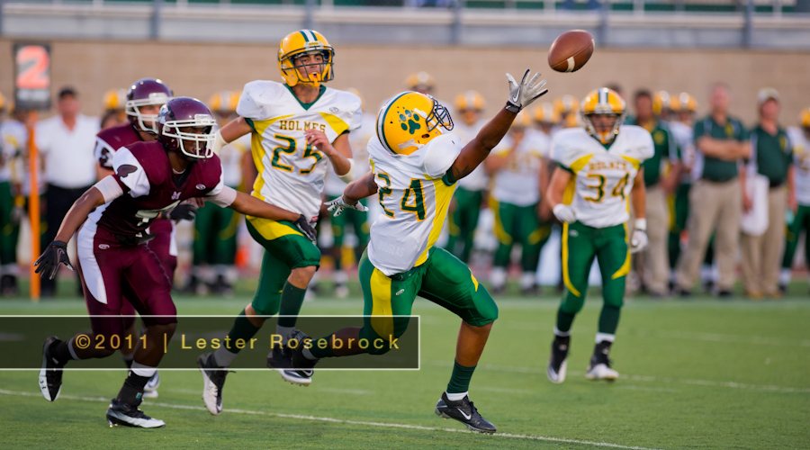 Holmes v Marshall_01