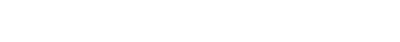 L e s t e r M u l t i m e d i a logo