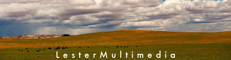 Masthead header