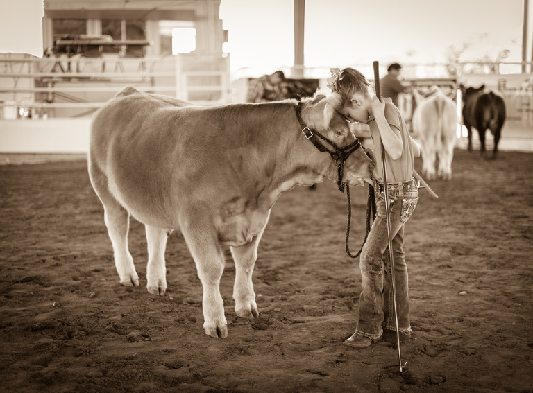 A young participant shares a quiet moment with her cow at the 2015 Guadalupe County Fair in Seguin.